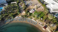 66 PER - Stay Villa Palm