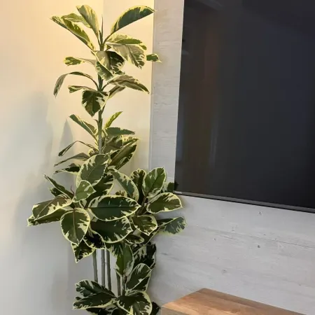 Luxury 1Br Located in Prime Yonkers Area