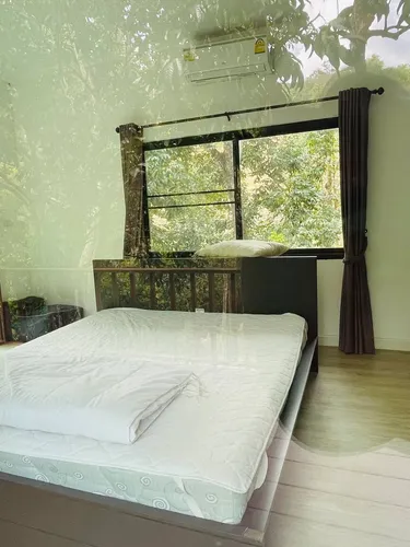 รูปภาพของFill your heart with nature at House of Lee#1