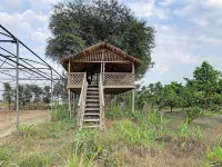 Aanandam Resort By ELIVAAS Hotels in Sonepat