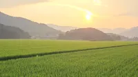 suncheon byeollyang-yeonga - Aamiainen