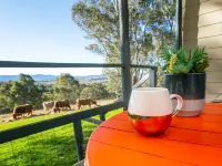 Bumblebrook Farm Motel Hotels in Bega