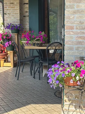 B&B Alla Suite - Homestays