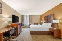 Comfort Inn North Conroe