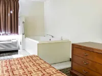 Econo Lodge Kalamazoo Near Wings Stadium Hotels in Kalamazoo