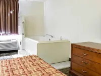 Econo Lodge Kalamazoo Near Wings Stadium