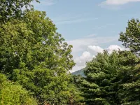 Bluebird Cottage Hotels in Nelson County
