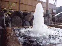 Ogaki Forum Hotel - Hot Tub