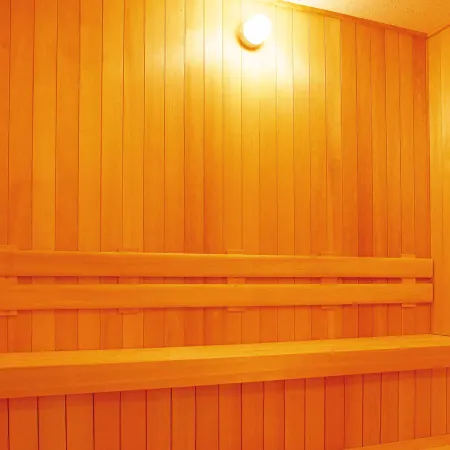 Iizaka Onsen Surikamitei Ohtori