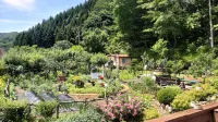 Inje Gombaeryeonggilseop Green Narae Pension - Wifi