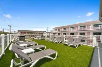Pink Champagne Motel - 3-Star
