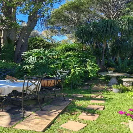 Three Olives Guesthouse