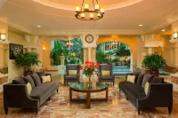 Four Points by Sheraton Suites Tampa Airport Westshore - bar