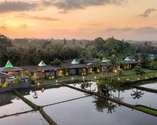 Gdas Bali Health and Wellness Resort Hotels near Elephant Cave