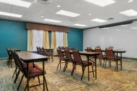 Comfort Inn & Suites Toledo North - Pet friendly