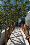 Sanyama Holbox - Pet friendly