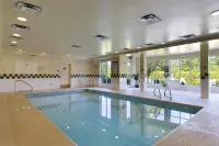 Hilton Garden Inn Raleigh-Durham Airport - Swimmingpools