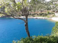 Traditional Stone House Adrian - Homestays