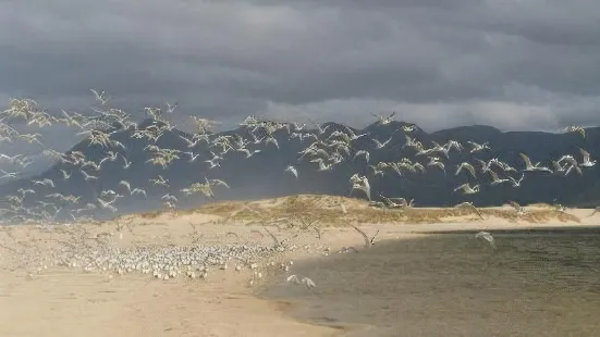 火烈鳥湖度假村