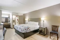 Red Roof Inn Savannah - Richmond Hill/ I-95 Hotels in Richmond Hill