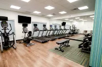 Holiday Inn Express & Suites Taylor Hotels in Taylor