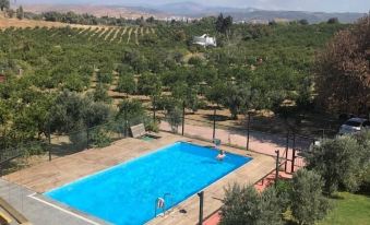 Teos Garden Retreat Hotel - Adults Only