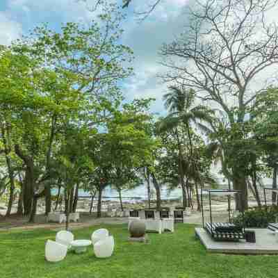 Gigi Brown Beachfront Santa Teresa Hotel Exterior