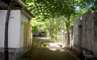 熊貓小屋