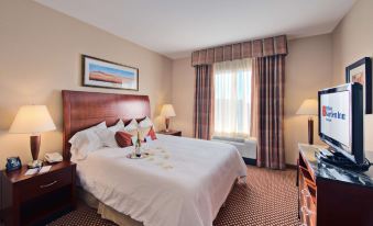 a hotel room with a king - sized bed , a flat - screen tv mounted on the wall , and a window overlooking a city at Hilton Garden Inn Laramie