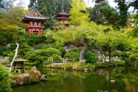 Sunset Edwardian Bed and Breakfast at Golden Gate Park San Francisco - B&Bs (Bed and breakfast)