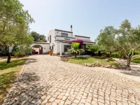Quintal Das Oliveiras