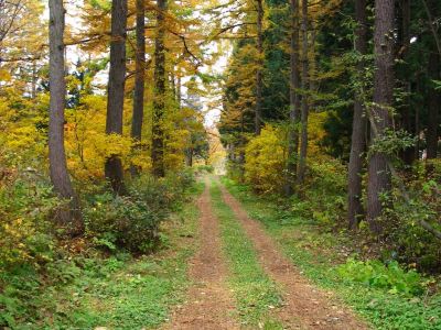 ホテル周辺 パークロッヂ関根の写真