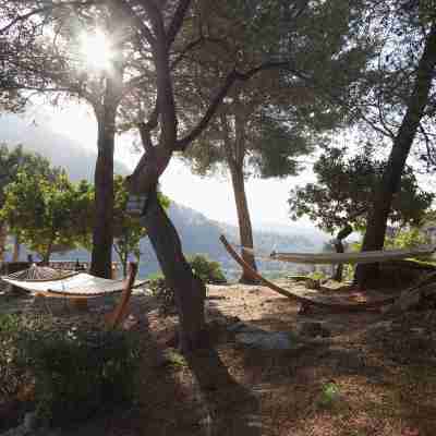 Finca Albellons Hotel Exterior