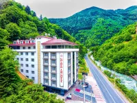 Golden Inn Hotel Uzungöl Отели в г. Taskiran Mahallesi