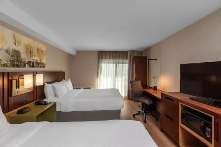 Comfort Inn South