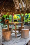 Tronco Tambopata Adventure - Wifi