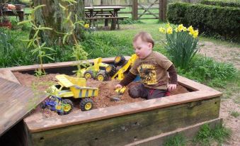 a young boy is playing in a sandbox filled with yellow and black toys , surrounded by greenery at Church Farm Accommodation