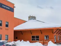 Snow Cap Inn Hotels in Newry