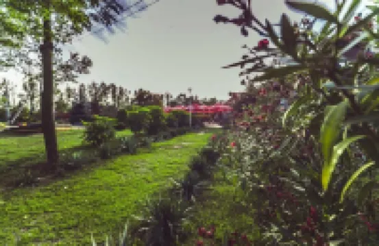 Gościniec Pod Żaglami Hotels in 