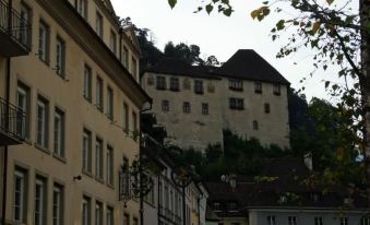 Central Hotel Löwen