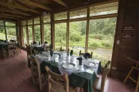 Bosque de Paz Hotels in Bajos del Toro