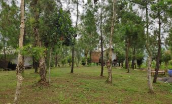 Bukit Lintang Sewu Domping