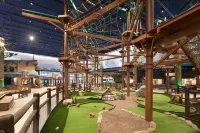 Great Wolf Lodge Manteca Hotels in Manteca