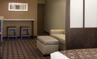 Microtel Inn & Suites by Wyndham Odessa