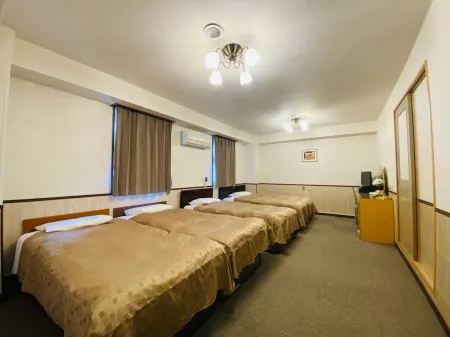 Fuji Park Hotel Отели в г. Фудзи