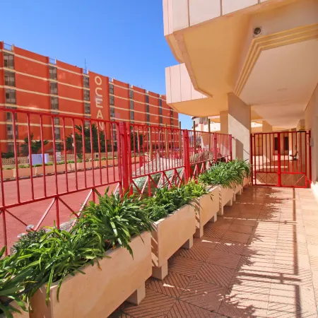 Amatista 09
