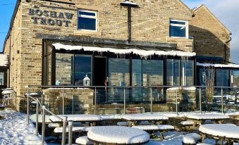 The Boshaw Trout