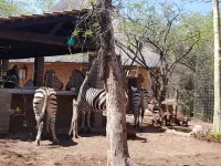 Klein Huisie (Little House) Self Catering Africa Bush Vacation in Marloth Park