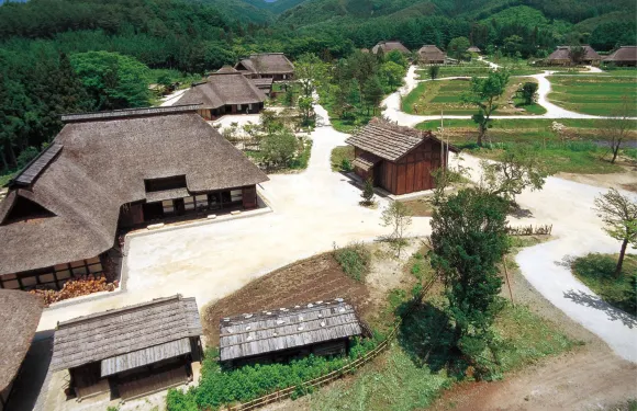 海濱凈土公園酒店