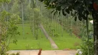 Whispering Willows Hotels near Singara